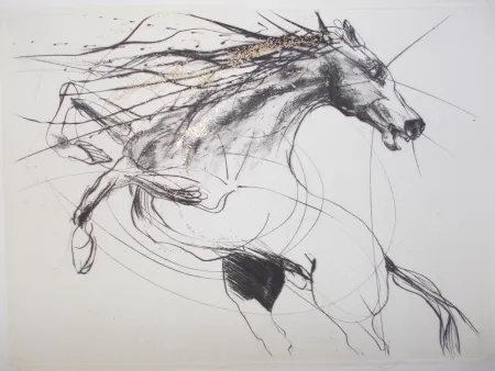 Stich Guiny - Etalon III