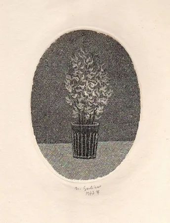 Illustriertes Buch Gulino - Canti