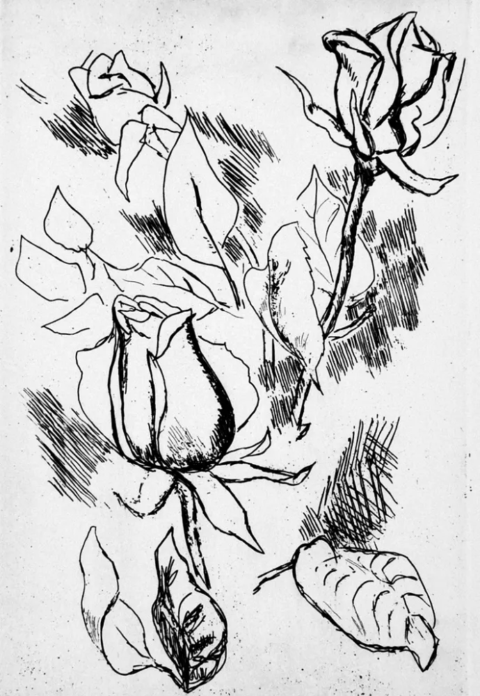 Illustriertes Buch Guttuso - Gli anni delle immagini perdute