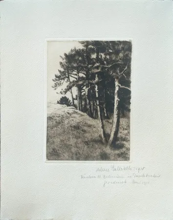 Kaltnadelradierung Haasbauer-Wallrath - Untitled (Kiefern am Waldrand)