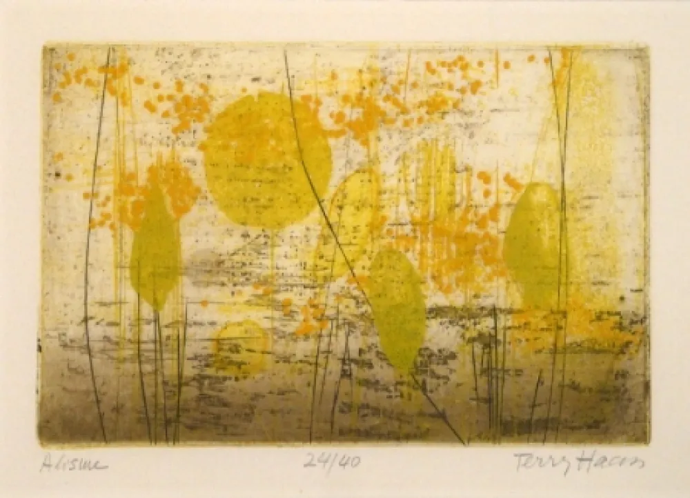 Stich Haass - Alisme