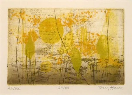 Stich Haass - Alisme