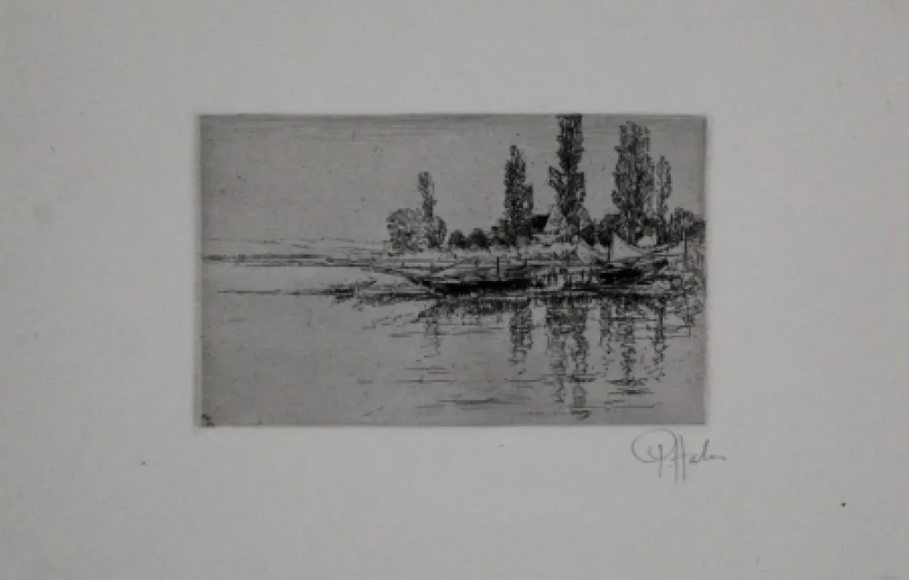 Stich Halm - Anleger