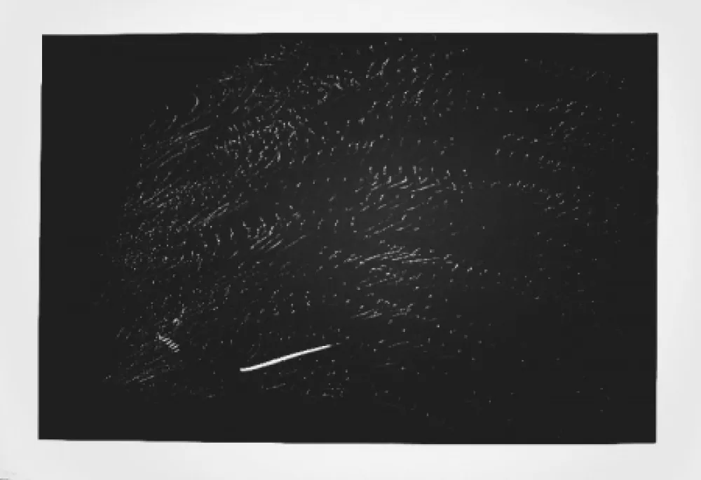 Lithographie Hartung - Farandole 15