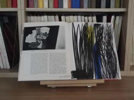 Illustriertes Buch Hartung - Xxe lazzaro no 43