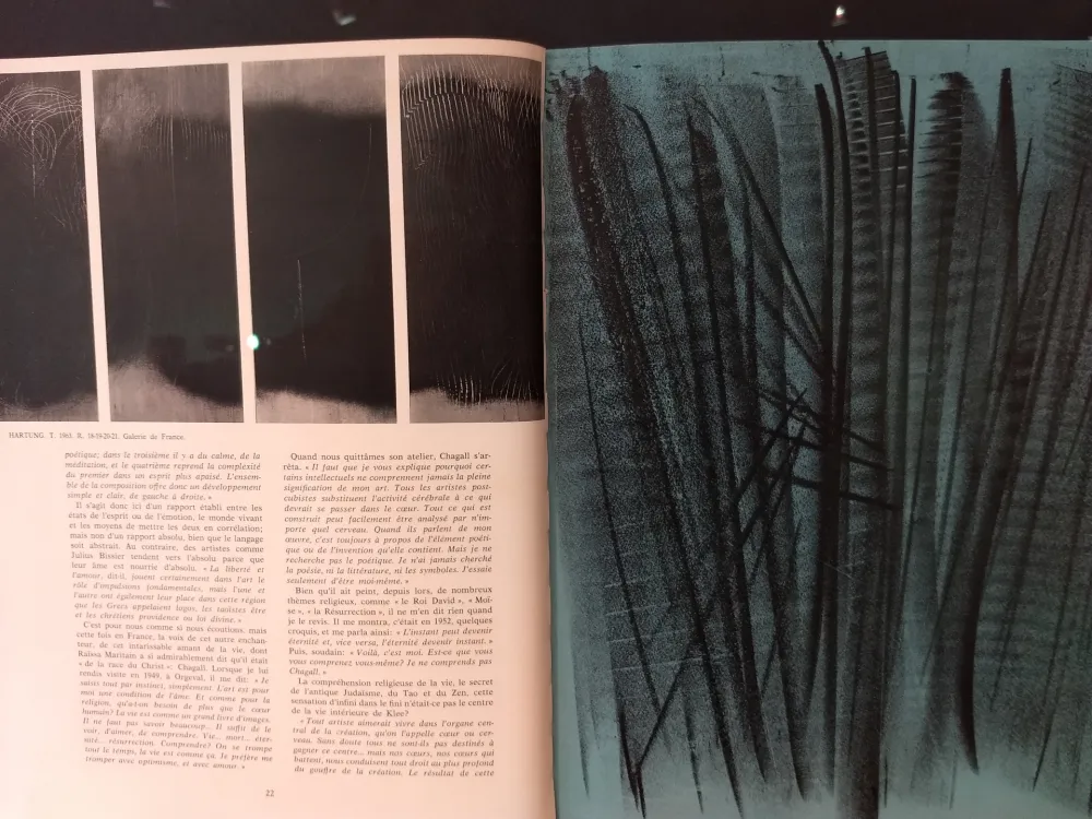 Illustriertes Buch Hartung - XXE No 24