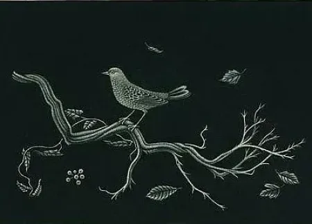 Mezzotinto Hasegawa - Oiseau sur racine (1960)
