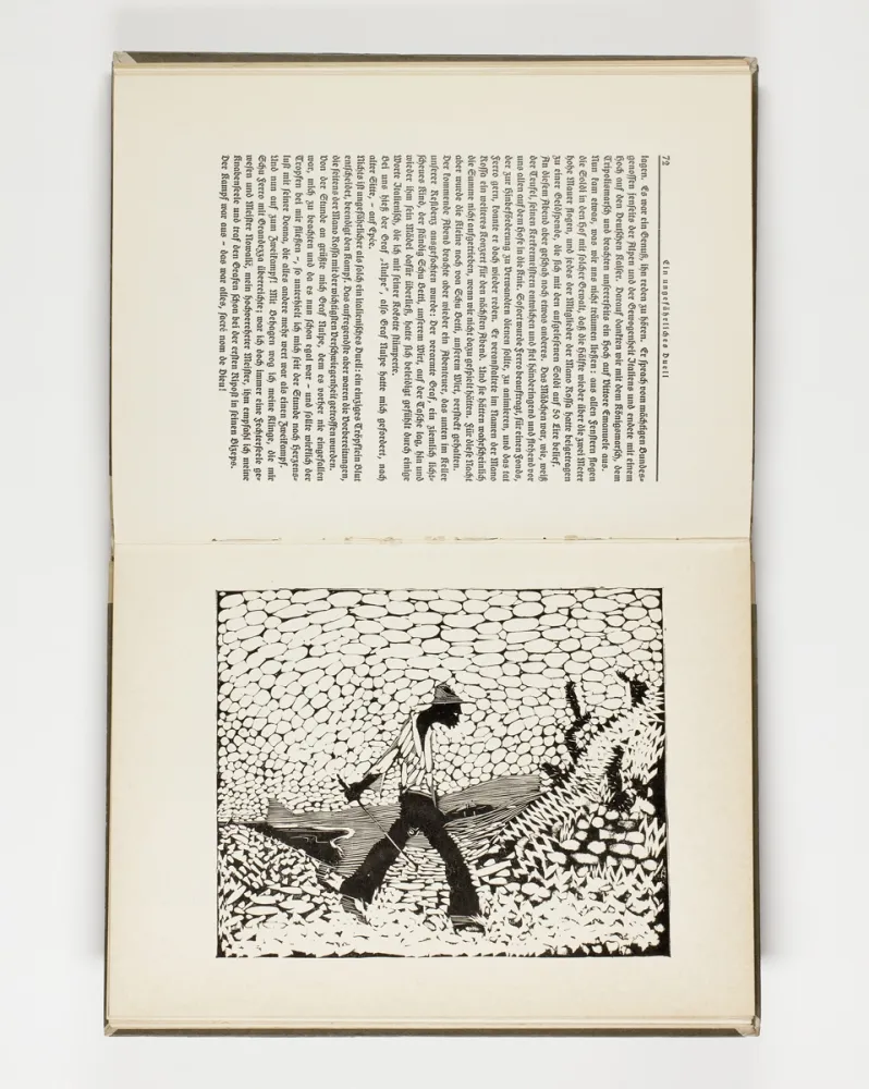 Illustriertes Buch Hasemann - Himmel und Hölle auf der Landstraße