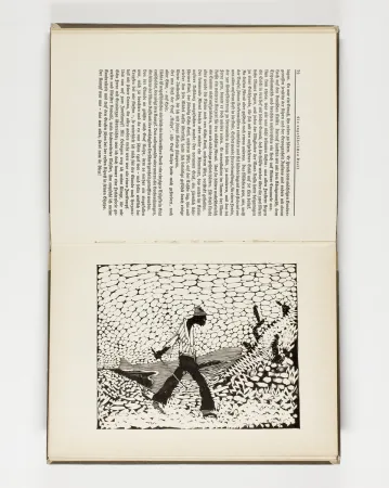 Illustriertes Buch Hasemann - Himmel und Hölle auf der Landstraße