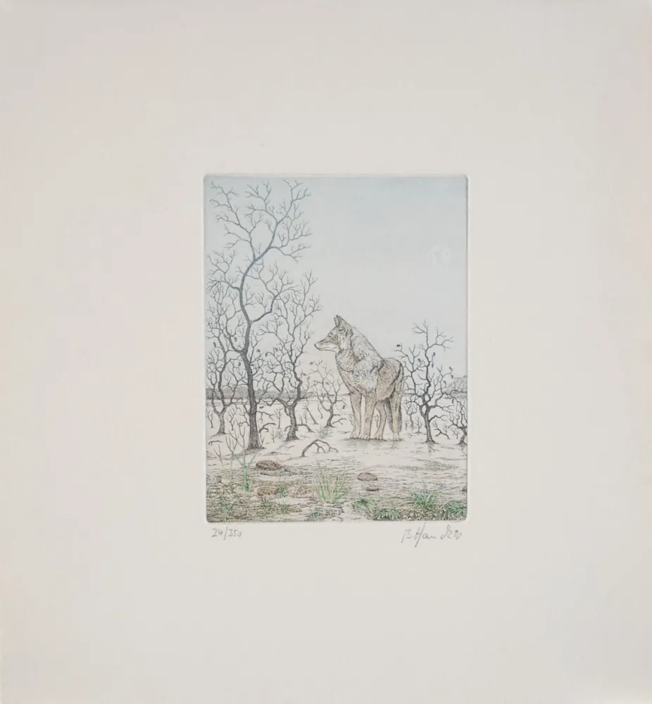 Radierung Hauck - Loup - Wolf