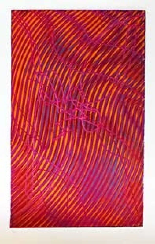 Stich Hayter - Araignée