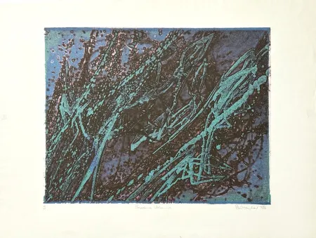 Stich Hayter - Poissons volants