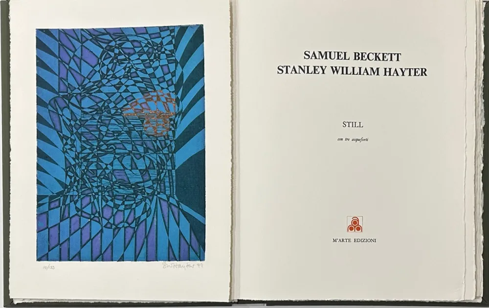 Illustriertes Buch Hayter - Still