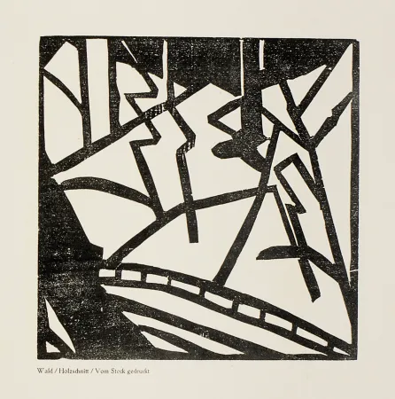 Holzschnitt Heemskerck,  - Sturm-Bilderbuch VII 