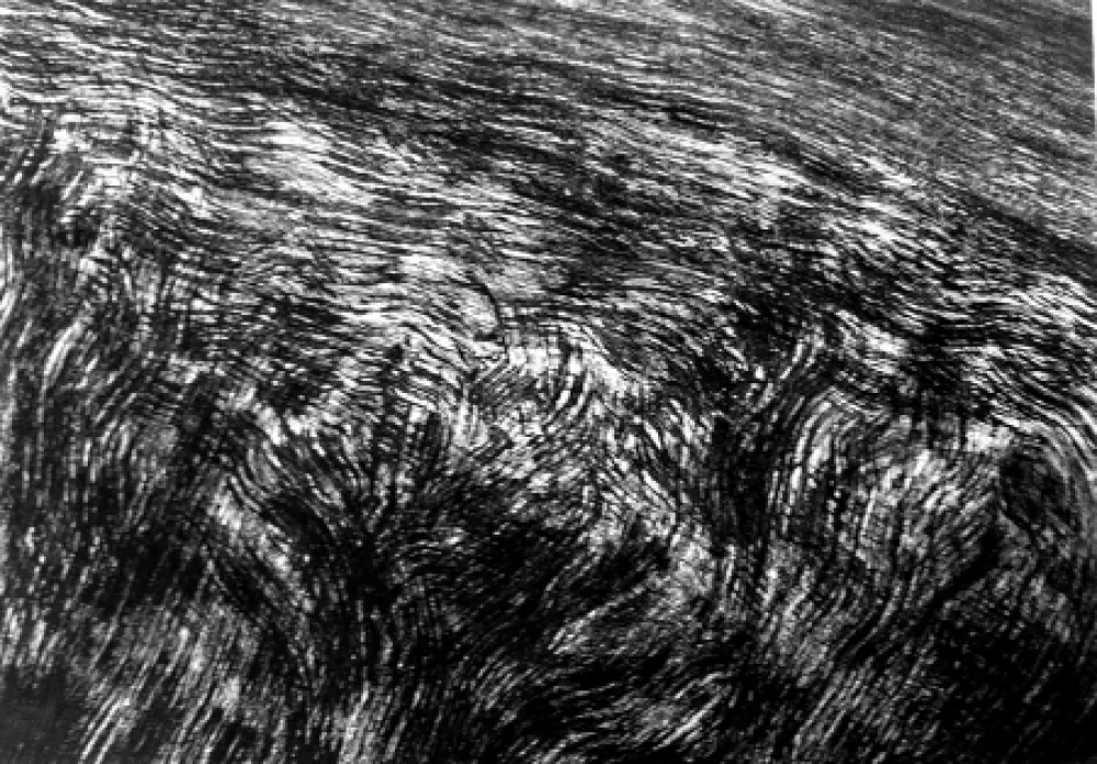 Stich Henry - De bruits d'un vent à jamais