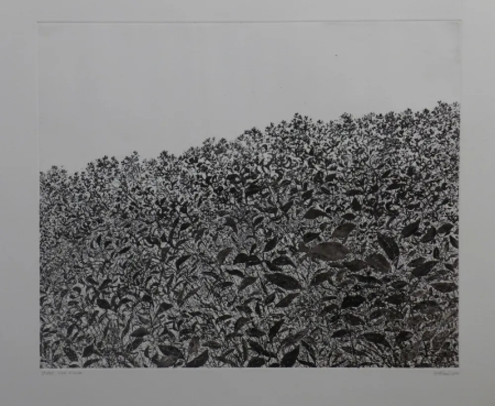 Radierung Henry - Sans titre