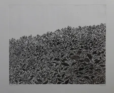 Radierung Henry - Sans titre