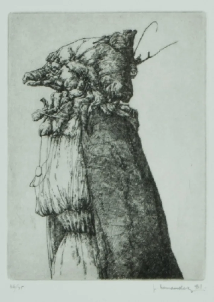 Stich Hernandez - Personaje