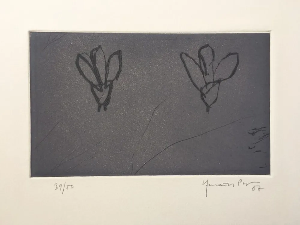 Stich Hernandez Pijuan - Flores sobre gris