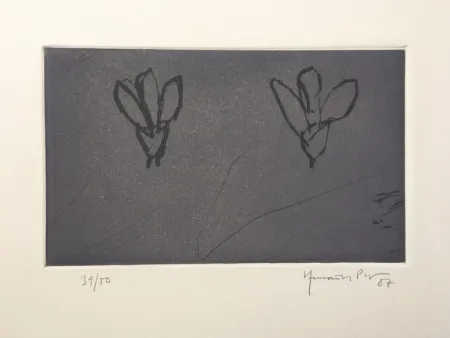 Stich Hernandez Pijuan - Flores sobre gris