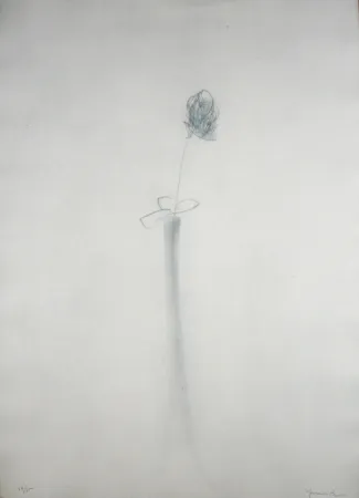 Stich Hernandez Pijuan - Gerro i flor