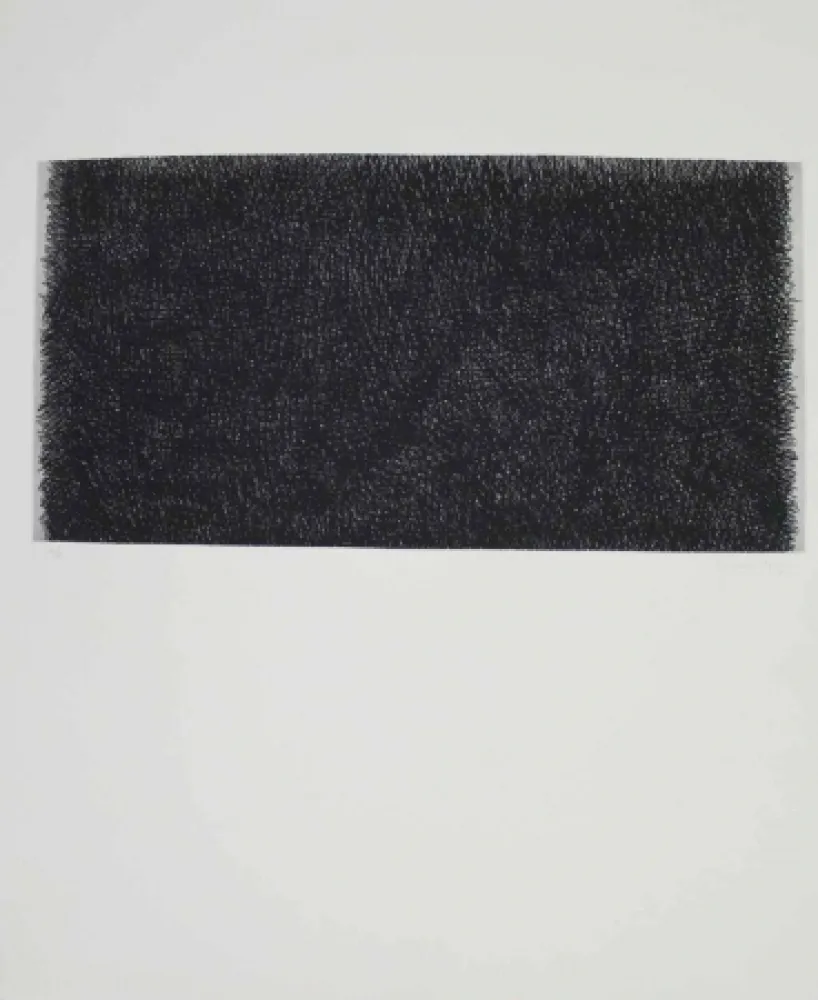 Stich Hernandez Pijuan - HP 20