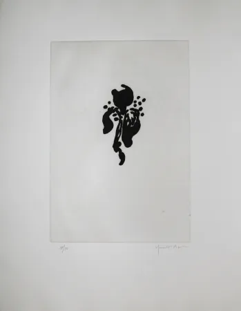 Aquatinta Hernandez Pijuan - Iris negre I (Black Iris I)