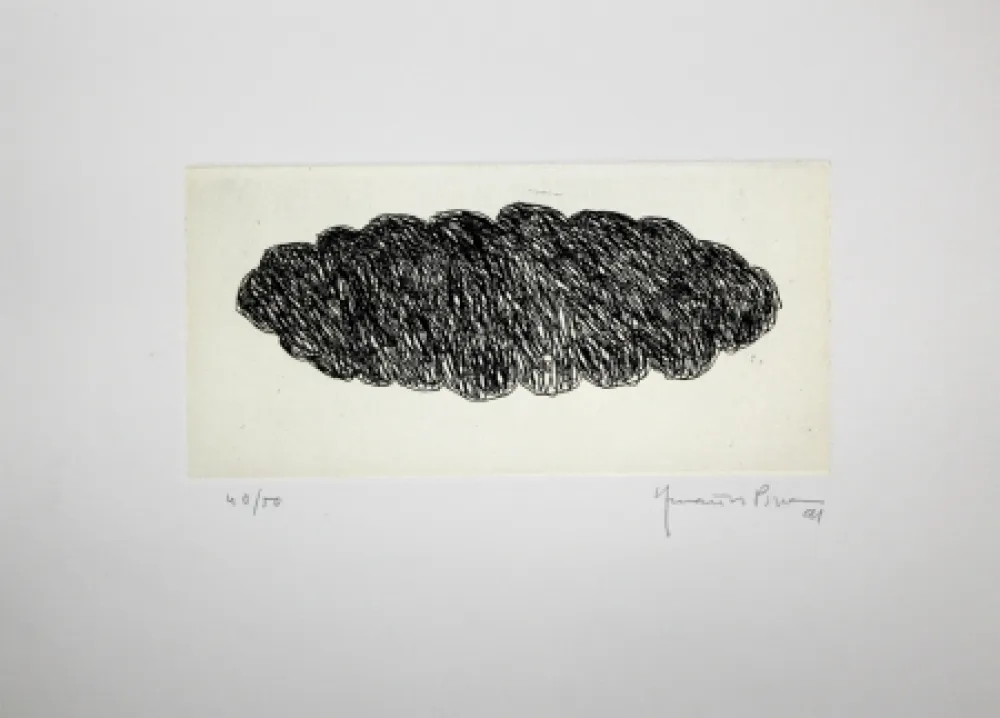 Stich Hernandez Pijuan - Memòria de la Segarra VII