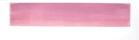 Stich Hernandez Pijuan - PH-2