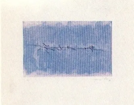 Stich Hernandez Pijuan - PJ 1