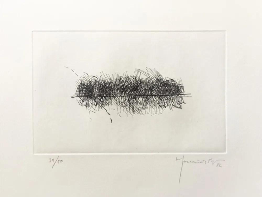 Stich Hernandez Pijuan - PJ2