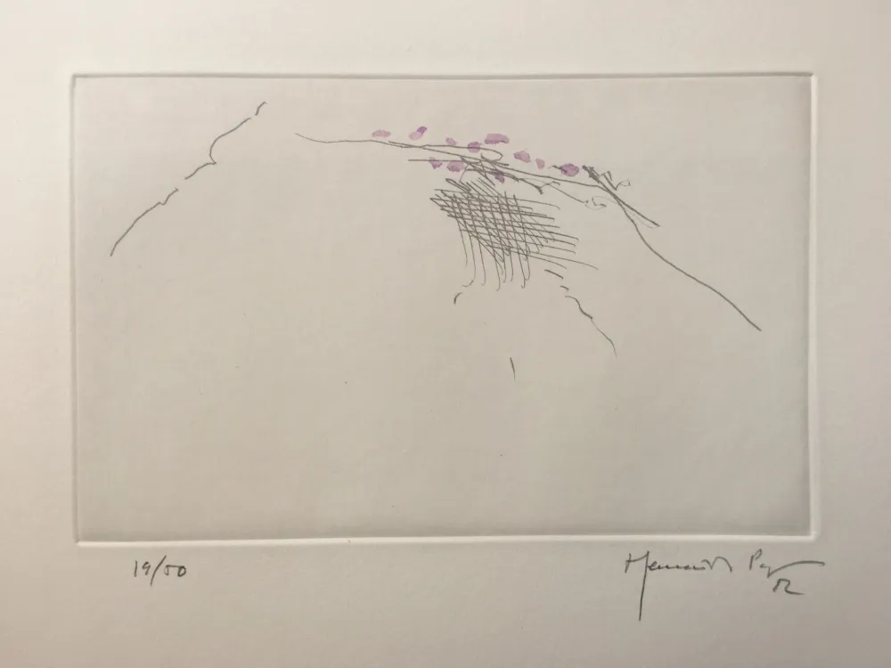 Stich Hernandez Pijuan - PJ8