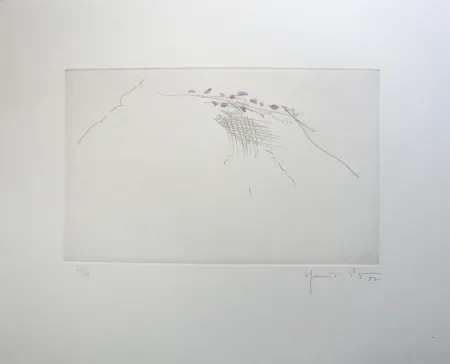 Stich Hernandez Pijuan - PJ8