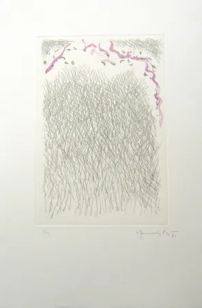 Stich Hernandez Pijuan - PL2