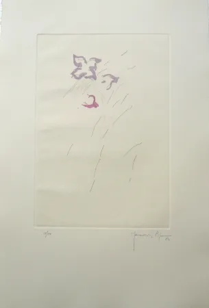 Stich Hernandez Pijuan - PL4