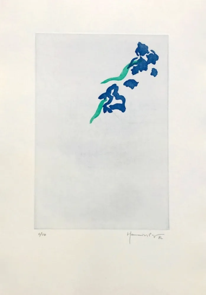 Stich Hernandez Pijuan - PL5