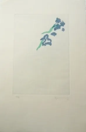 Stich Hernandez Pijuan - PL5