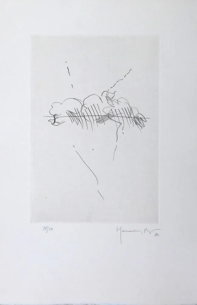 Stich Hernandez Pijuan - PL7