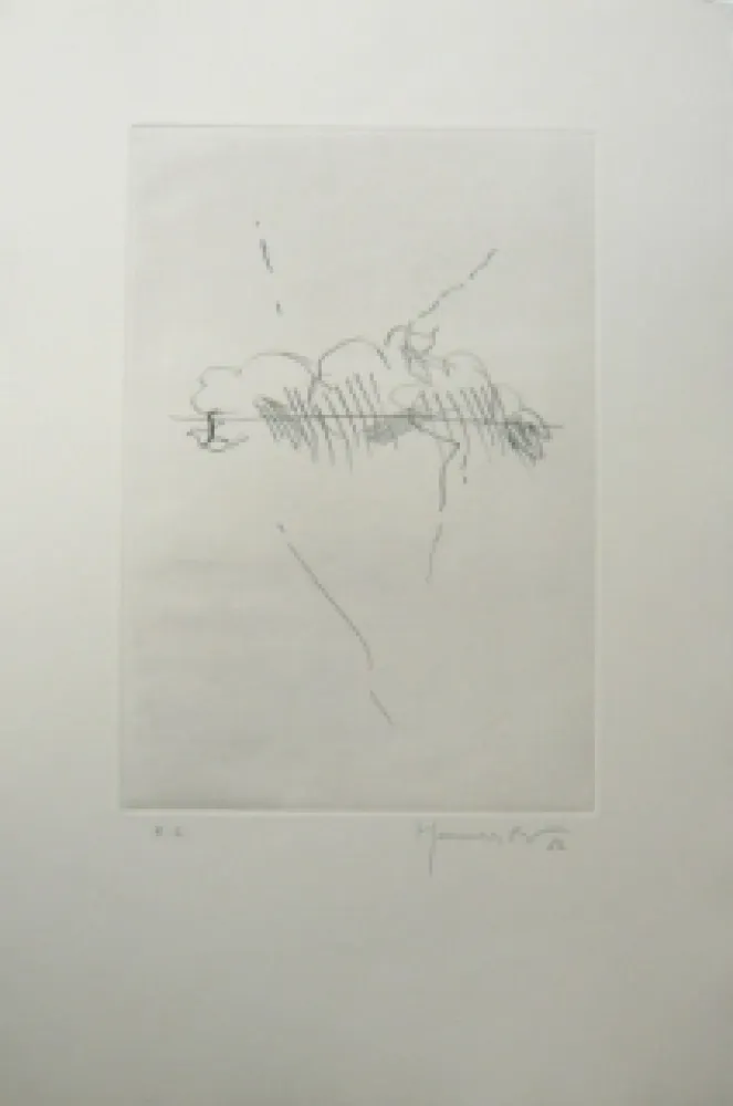 Stich Hernandez Pijuan - PL7