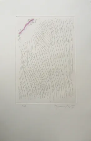 Stich Hernandez Pijuan - PL8