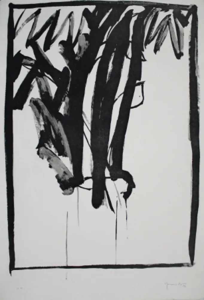 Aquatinta Hernandez Pijuan - Planta de saló 2