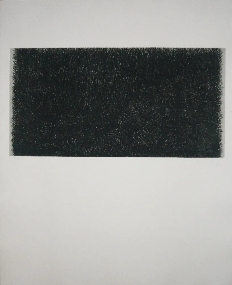 Stich Hernandez Pijuan - Polychrome 20