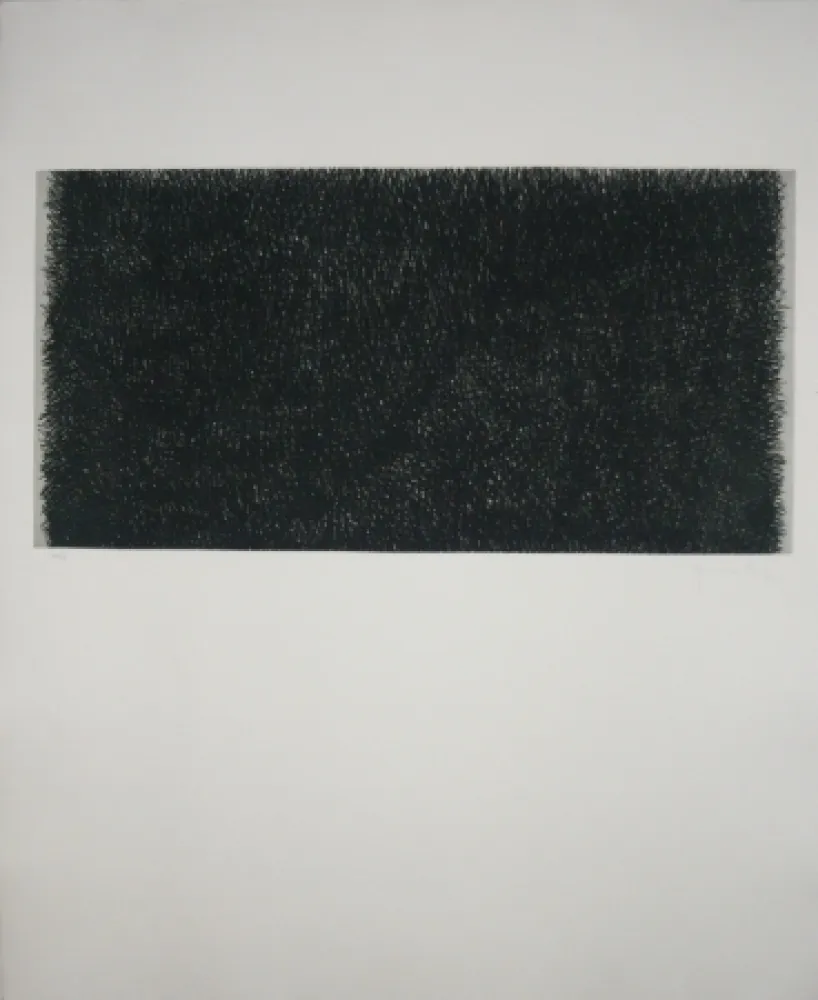 Stich Hernandez Pijuan - Polychrome 20