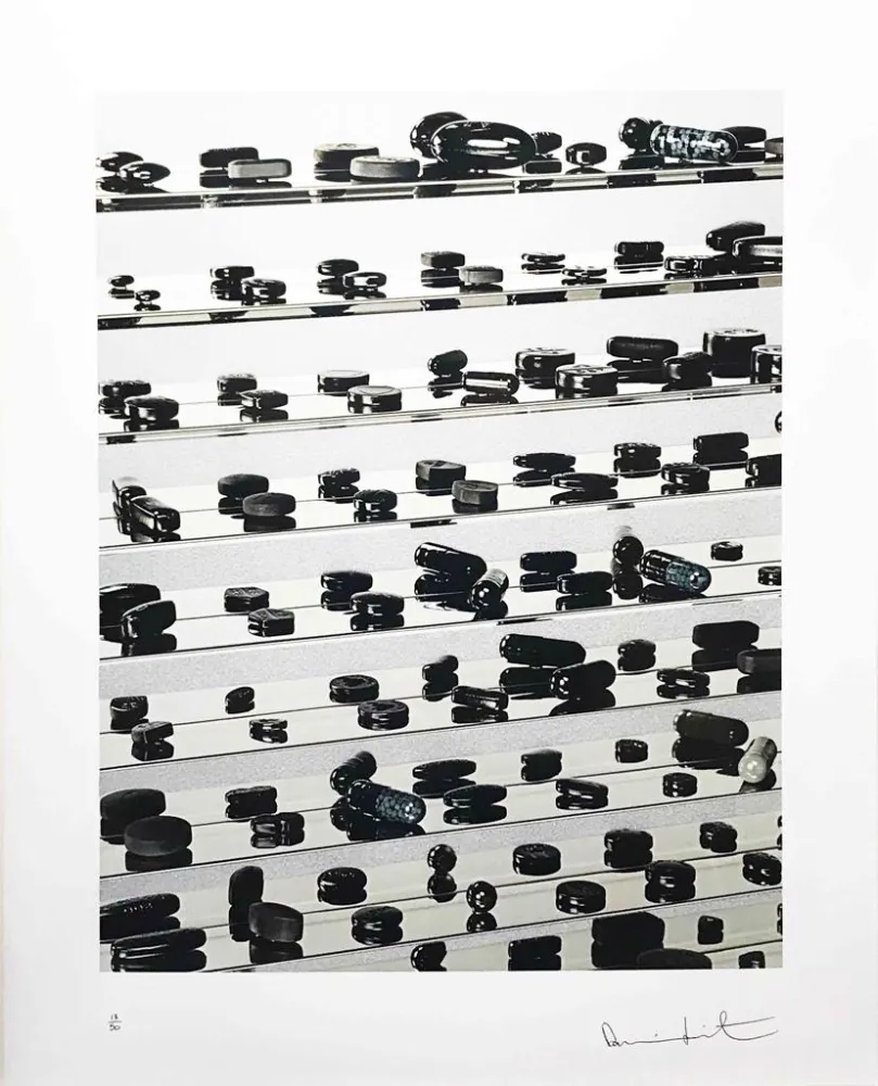 Keine Technische Hirst - Black Brilliant Utopia