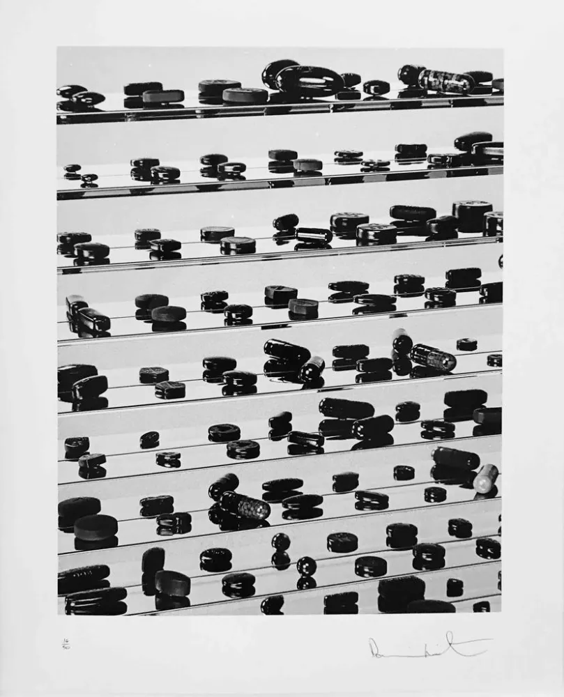 Multiple Hirst - Black Brilliant Utopia