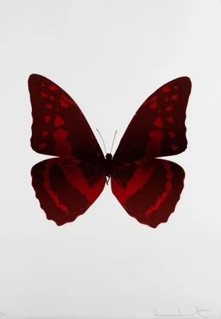 Keine Technische Hirst - Bristol 