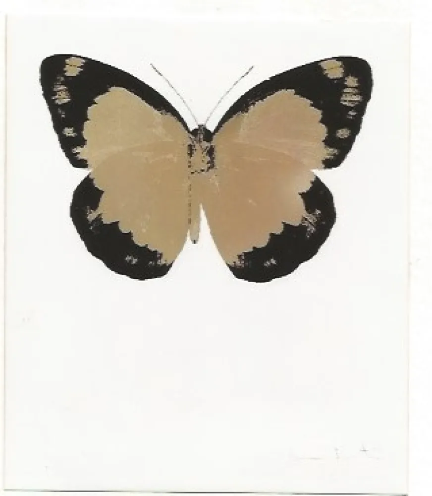 Keine Technische Hirst - Long Life Purple African Gold Imperial Purple Skull