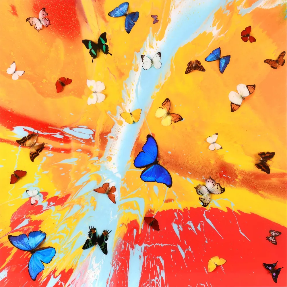 Multiple Hirst - The Dreams – Aurora Dawn