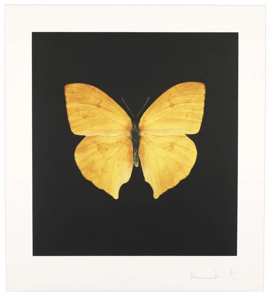 Stich Hirst - The Souls On Jacob’s Ladder Take Their Flight I