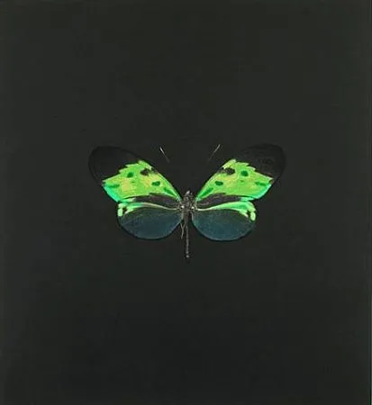 Radierung Hirst - The Souls on Jacob's Ladder Take Their Flight (Small Green)